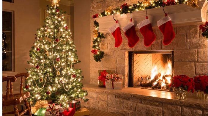 A short history of the Christmas tree!