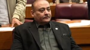 22000 Pakistani bureaucrats hold dual citizenship says PPP MNA