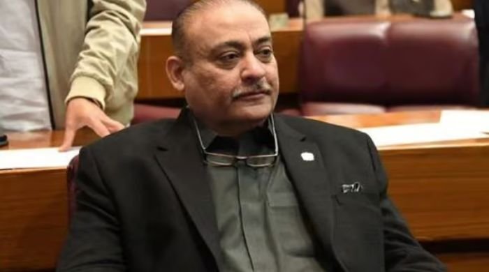 22000 Pakistani bureaucrats hold dual citizenship says PPP MNA