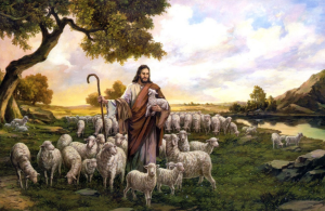 The Shepherd mentality Revolutionizing leadership for a better world