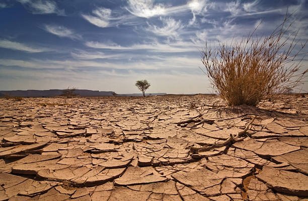 PMD issues dire warning as drought conditions worsen across Pakistan