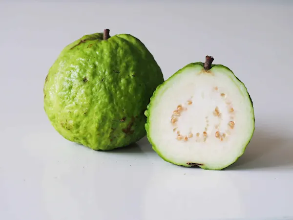 Guava health benefits for human body