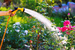 Punjab implements immediate ban on hose pipes amid drought concerns