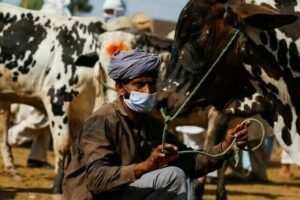 CM Punjab free livestock program 2025: A complete guide