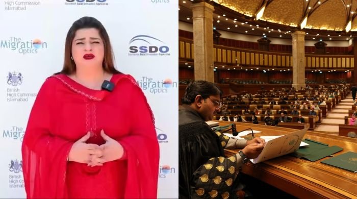 Punjab Assembly woman lawmaker files harassment complaint against four MPAs