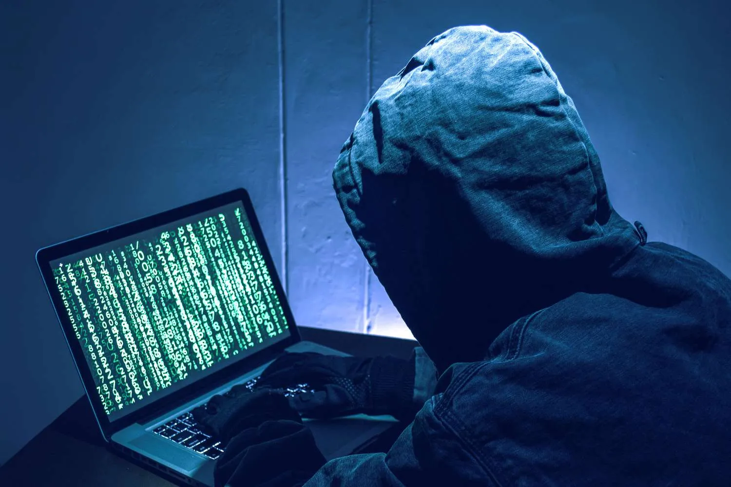 Government authorizes NCCIA to probe online child abuse, Cyber crimes