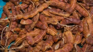 How can Imli cure multiple diseases?