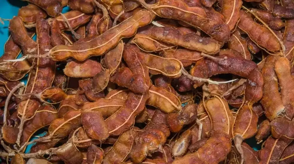 How can Imli cure multiple diseases?