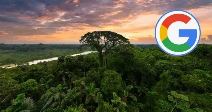 Google to buy carbon credits from major Amazon forest project