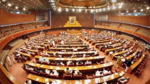 National assembly passes bill against domestic violence