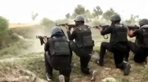 CCD kills 10 ice dealers, arrests 33 across Punjab