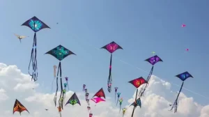Punjab Allows Kite Flying With New Rules