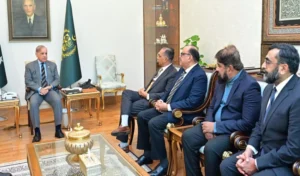 PM seeks roadmap for US-based Pakistani doctors’ investment