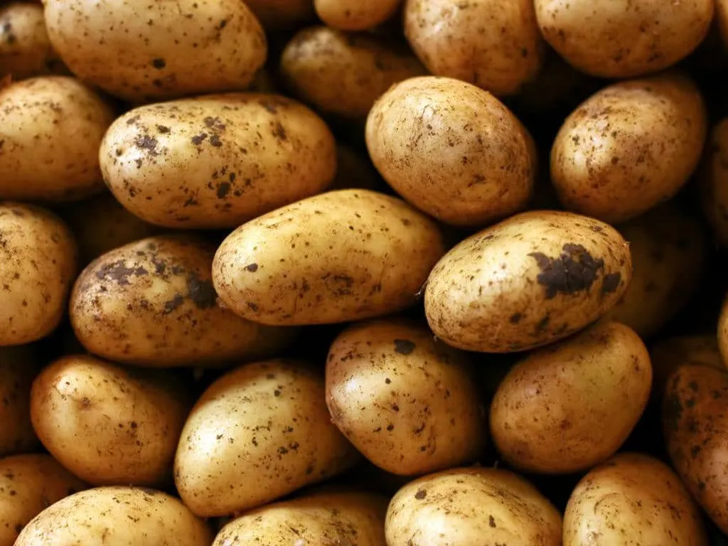 NA Committee Seeks PM Intervention to Address Potato Price Crisis