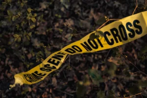 New England Serial Killer Rumors: What the Evidence and Experts Really Show