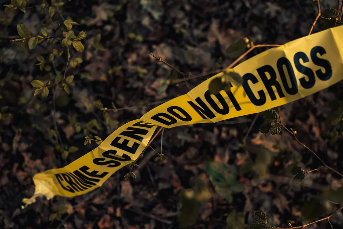New England Serial Killer Rumors: What the Evidence and Experts Really Show