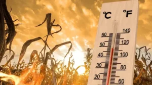 2025 Third-Hottest Year on Record: Global Warming Accelerates, Scientists Warn of 2026 Risks