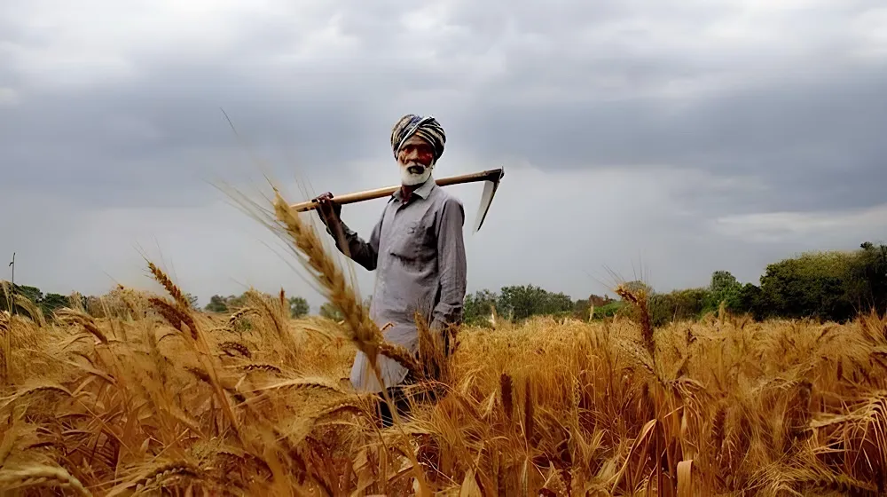 Punjab to Provide Free State Land to Peasants Under ‘Apna Khet, Apna Rozgar’ Scheme
