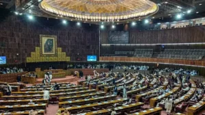 Pakistan Citizenship Amendment Bill 2025 Approved by NA Interior Committee