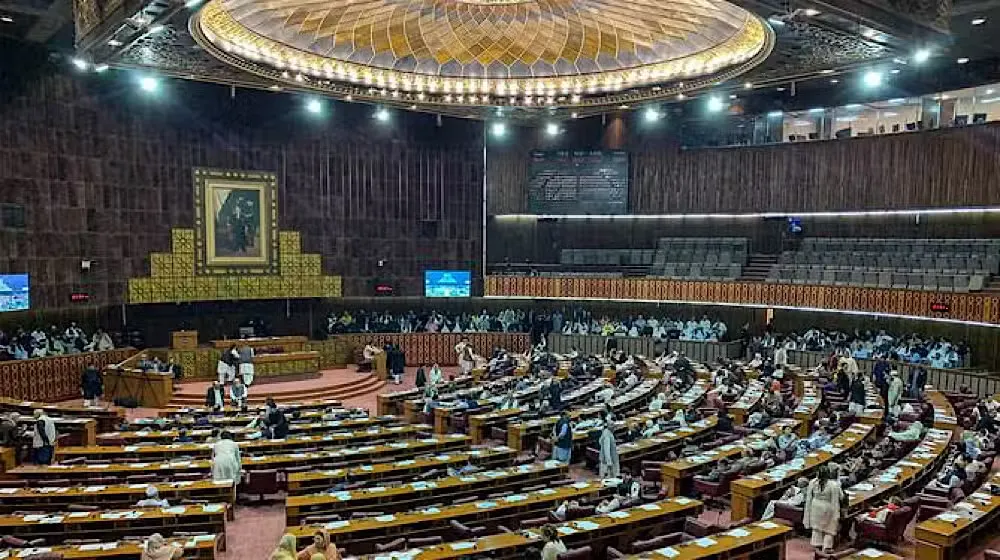 Pakistan Citizenship Amendment Bill 2025 Approved by NA Interior Committee