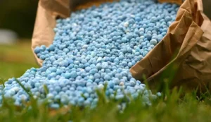 Disruptions in the Middle East have driven global urea prices to record highs, sharply increasing import costs for Pakistan.