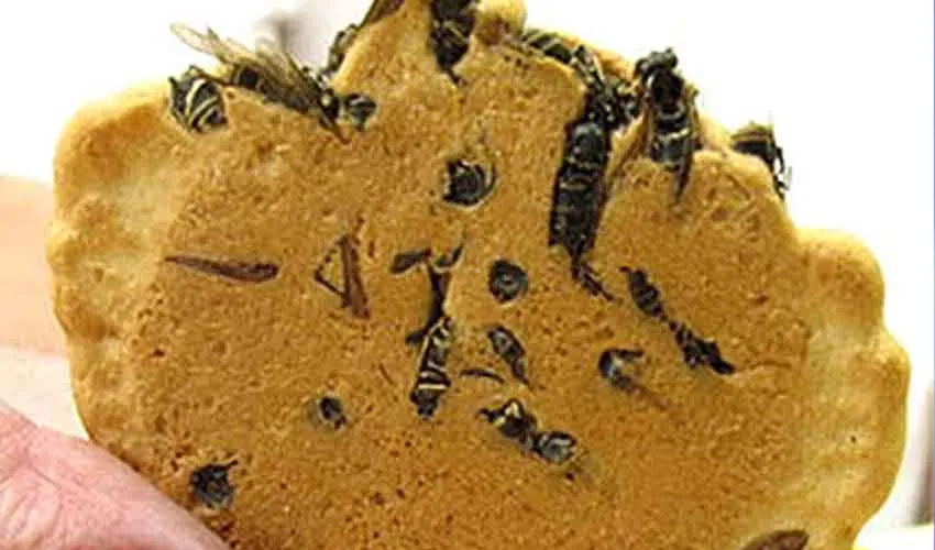 Japan’s Jibachi Senbei Biscuit Made With Wasps Attracts Global Attention