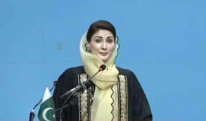 Maryam Nawaz Announces Zero Tolerance on Online Harassment