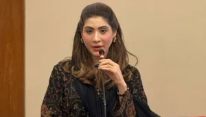 Hina Parvez Butt Criticises Falak Shabir Over Remarks on Women’s Clothing