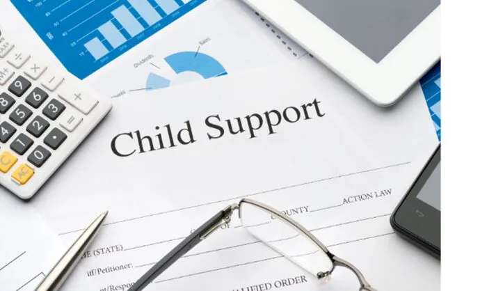 Father Cannot Waive Child Maintenance Through Settlement: LHC Rules