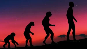 Adam, Evolution, and the Limits of Human Science