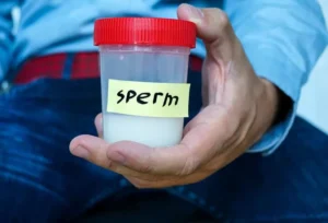 Global Sperm Counts Decline Over 50%, Scientists Cite Pollution and Lifestyle