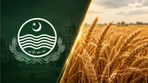 Punjab Wheat Procurement Policy Criticized by Farmers and Flour Millers