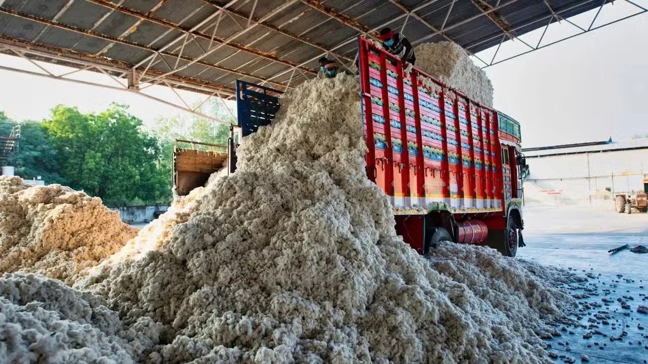 Pakistan Cotton Ginning Industry Faces Shutdowns as 18 Percent Sales Tax Triggers Fresh Crisis
