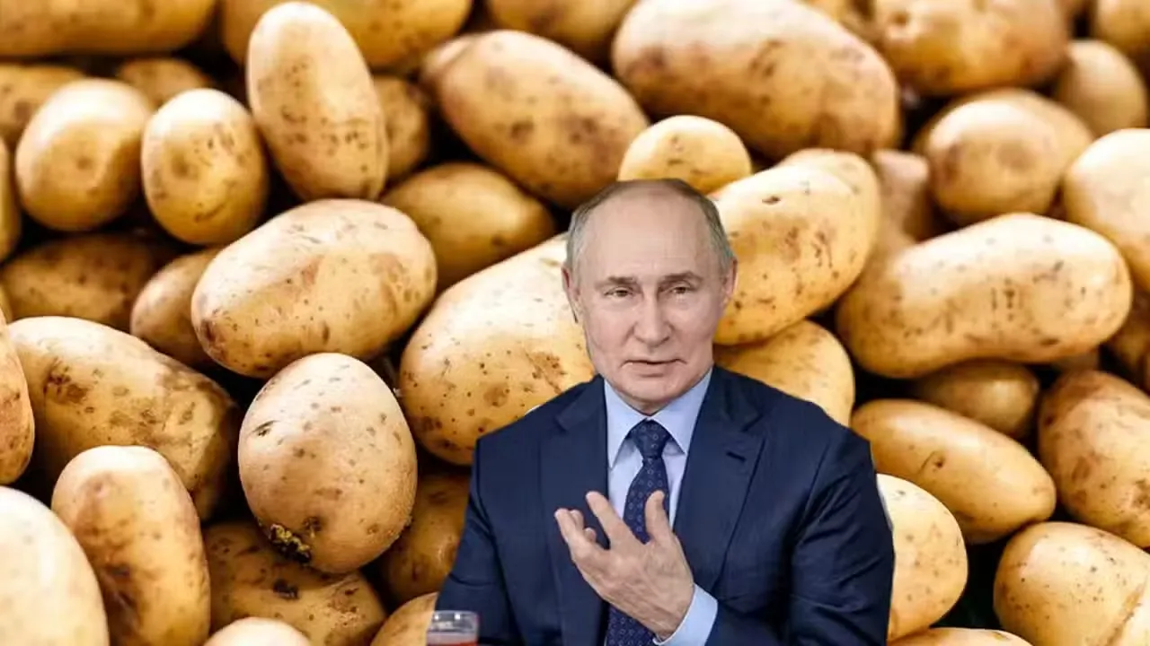 Russia Lifts Punjab Potato Import Ban, Approves 101 Pakistani Exporters