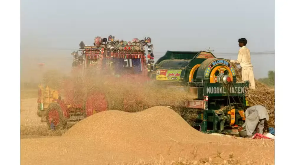 Pakistan Approves 1 Million Tonnes Wheat Import Amid Rising Prices