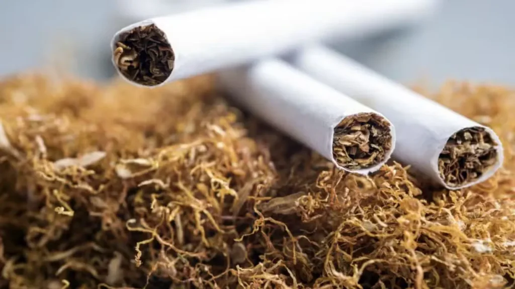 Swabi Tobacco Growers Demand PTB Action on Surplus Crop