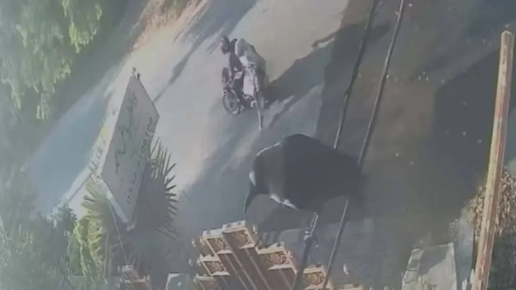 Girl Jumps Off Moving Bike Due to Inappropriate Behavior of Online Bike Rider