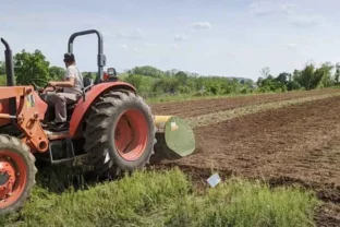 Punjab Announces Major Fuel Relief Package