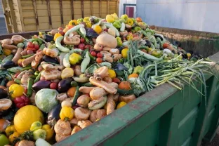 Punjab Offers Rs. 30,000 Reward for Turning Kitchen Waste Into Compost