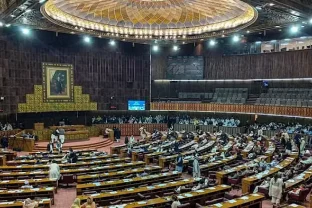 Pakistan Citizenship Amendment Bill 2025 Approved by NA Interior Committee