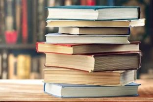 Punjab AI Syllabus for Grades 1-5 Awaits Notification