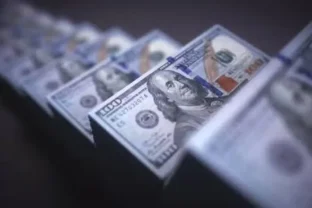 us-dollars-pp